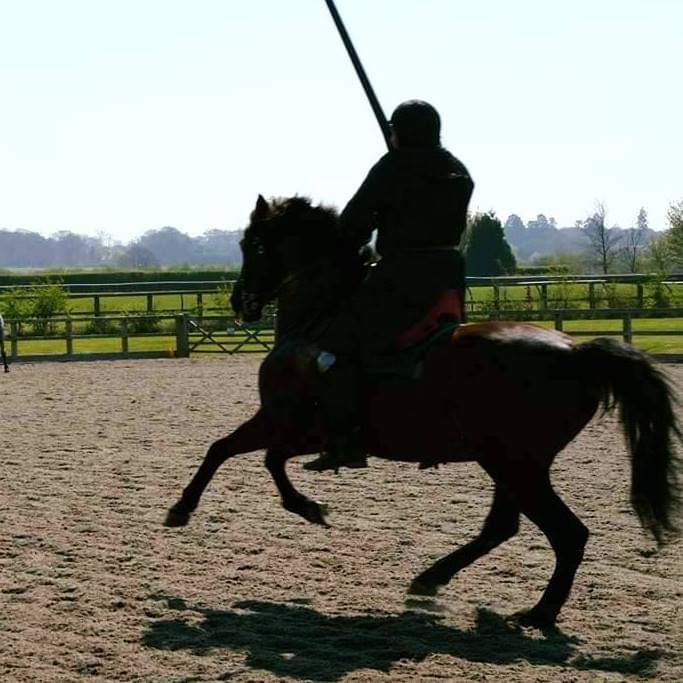 Mounted fencing silhouette at sunset